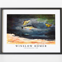 winslow homer - Fish and Butterflies-1900
