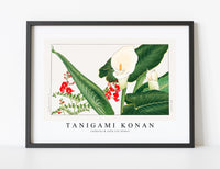 
              Tanigami Konan - Lathyrus & calla lily flower
            