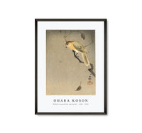 
              Ohara Koson - Buffalo wing shrike and spider (1900 - 1930) by Ohara Koson (1877-1945). (2)
            