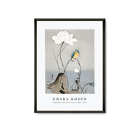 
              Ohara Koson - Kingfisher with Lotus Flower (1900 - 1945) by Ohara Koson (1877-1945)
            
