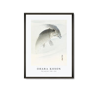
              Ohara Koson - Two carp (1900 - 1930) by Ohara Koson (1877-1945) (2)
            