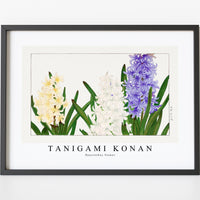 Tanigami Konan - Hyacinthus flower