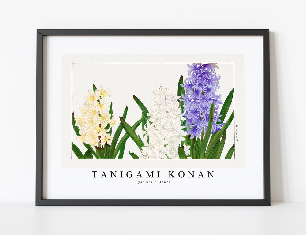 Tanigami Konan - Hyacinthus flower