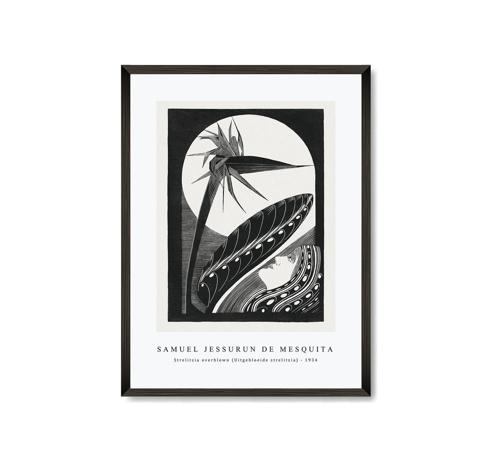 Samuel Jessurun De Mesquita - Strelitzia overblown (Uitgebloeide strelitzia) (1934)