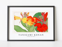 
              Tanigami Konan - Vintage canna flower
            