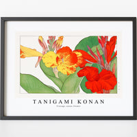 Tanigami Konan - Vintage canna flower