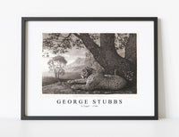 
              George Stubbs - A Tyger 1788
            