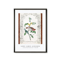 John James Audubon - Crimson fronted Purple Finch