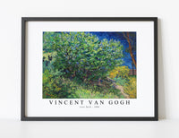 
              Vincent Van Gogh - Lilac Bush 1889
            