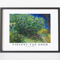 Vincent Van Gogh - Lilac Bush 1889