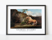 
              George Stubbs - Horse Frightened by a Lion 1762-1768
            