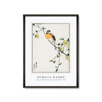 Numata Kashu - Japanese Meadow Bunting and Golden Ball illustration from Pictorial Monograph of Birds (1885)