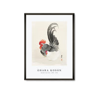 
              Ohara Koson - Chicken and cock (1900 - 1936) by Ohara Koson (1877-1945)
            