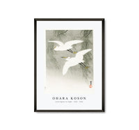 
              Ohara Koson - Little Egrets in flight (1925 - 1936) by Ohara Koson (1877-1945)
            