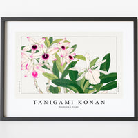 Tanigami Konan - Dendobium flower