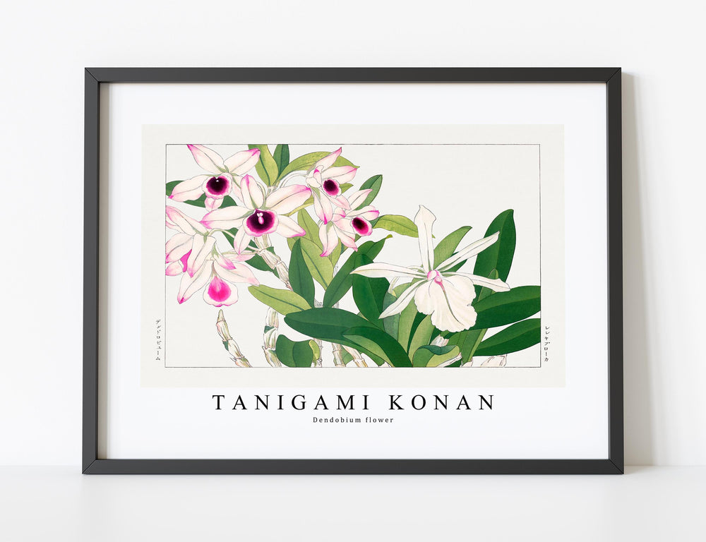 Tanigami Konan - Dendobium flower