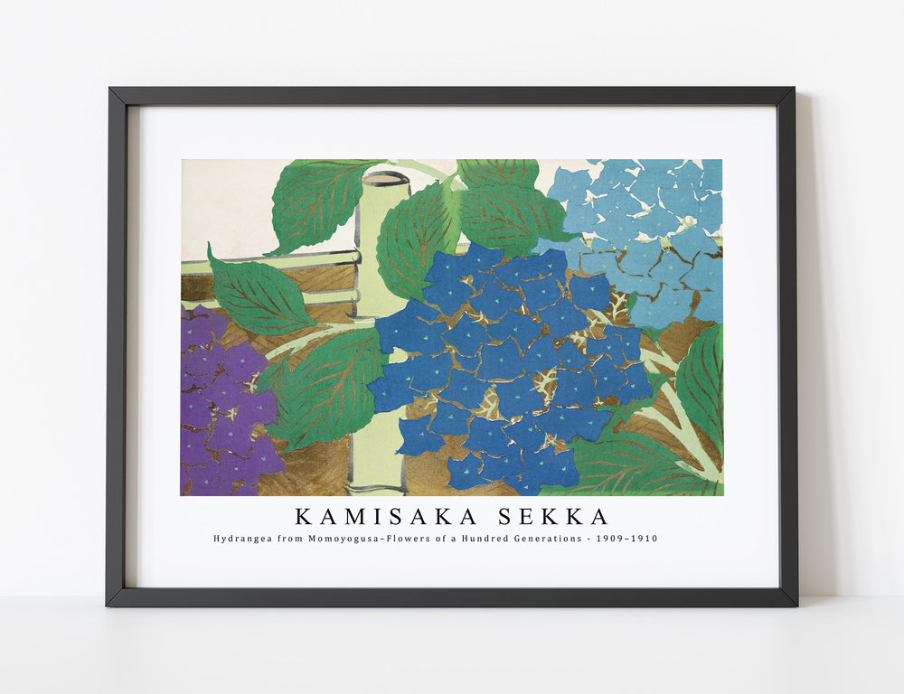 Kamisaka Sekka - Hydrangea from Momoyogusa–Flowers of a Hundred Generations (ca. 1909–1910)