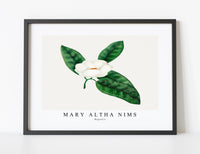
              Mary Altha Nims - Magnolia
            