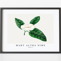 Mary Altha Nims - Magnolia