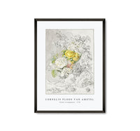
              Cornelis ploos van amstel - Flower arrangement-1778
            