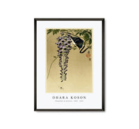 
              Ohara Koson - Flycatcher at wisteria (1900 - 1910) by Ohara Koson (1877-1945)
            