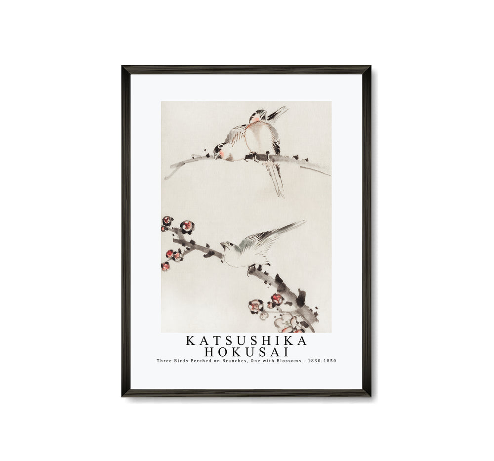 Katsushika Hokusai - Three Birds Perched on Branches, One with Blossoms 1830-1850