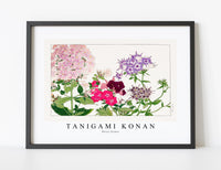 
              Tanigami Konan - Phlox flower
            