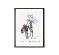 
              Sientje Van Houten - Irises 1897
            