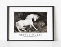 
              George Stubbs - A Horse Affrighted at a Lion 1788
            
