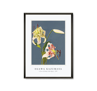 
              Ogawa Kazumasa - Lilies collotype from Japan. Described and Illustrated by the Japanese (1897)
            