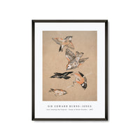 Sir Edward Burne Jones - Love leading the Pilgrim - Study of Birds Finches (1897)