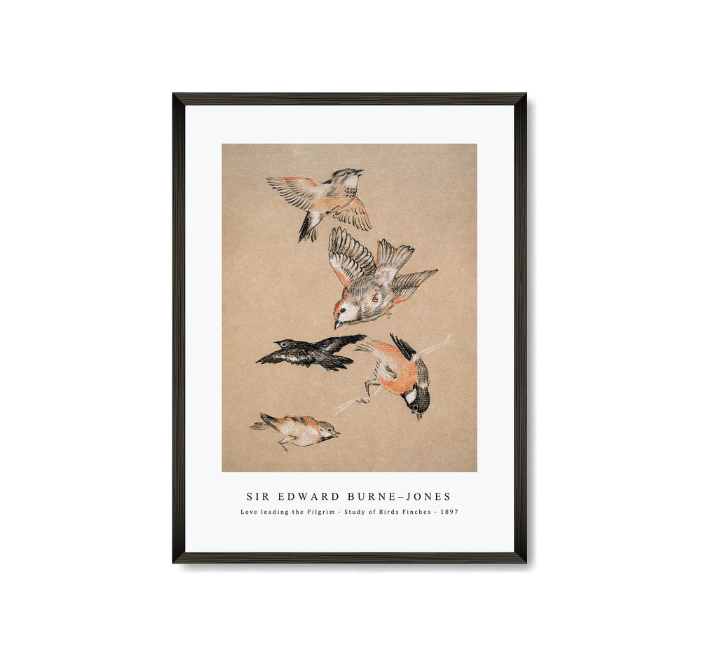 Sir Edward Burne Jones - Love leading the Pilgrim - Study of Birds Finches (1897)