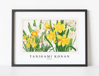 
              Tanigami Konan - Daffodil
            
