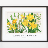 Tanigami Konan - Daffodil