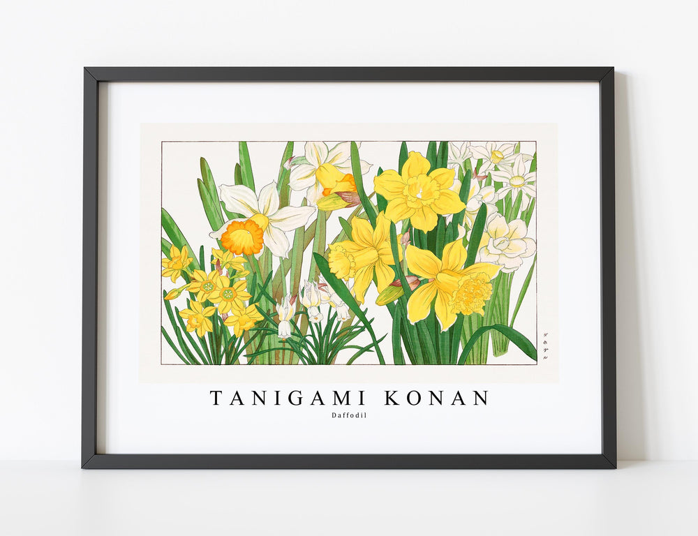 Tanigami Konan - Daffodil