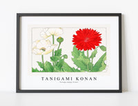 
              Tanigami Konan - Vintage poppy flower
            