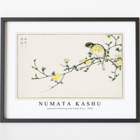 Numata Kashu - Japanese Bunting and Plum Tree illustration from Pictorial Monograph of Birds (1885)