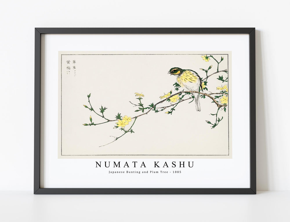 Numata Kashu - Japanese Bunting and Plum Tree illustration from Pictorial Monograph of Birds (1885)
