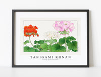 
              Tanigami Konan - Vintage geranium flower
            