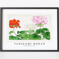 Tanigami Konan - Vintage geranium flower