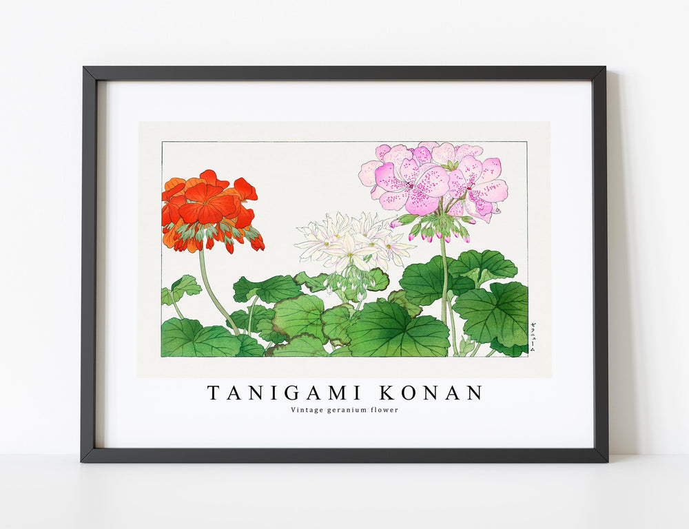Tanigami Konan - Vintage geranium flower