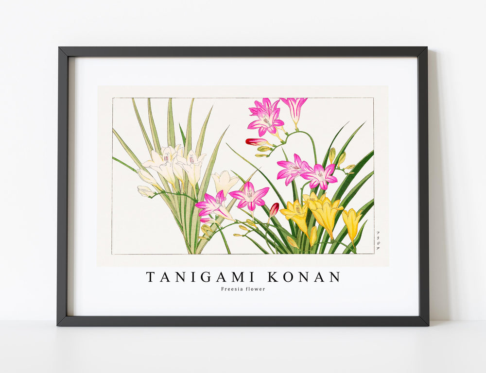 Tanigami Konan - Freesia flower