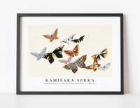 
              Kamisaka Sekka - Japanese butterfly (One Thousand Butterflies) - 1904 (11)
            