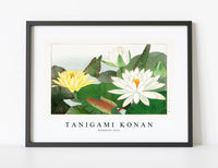 
              Tanigami Konan - Nymphaea lotus
            