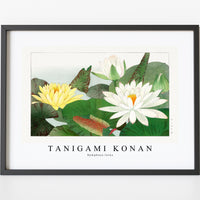 Tanigami Konan - Nymphaea lotus