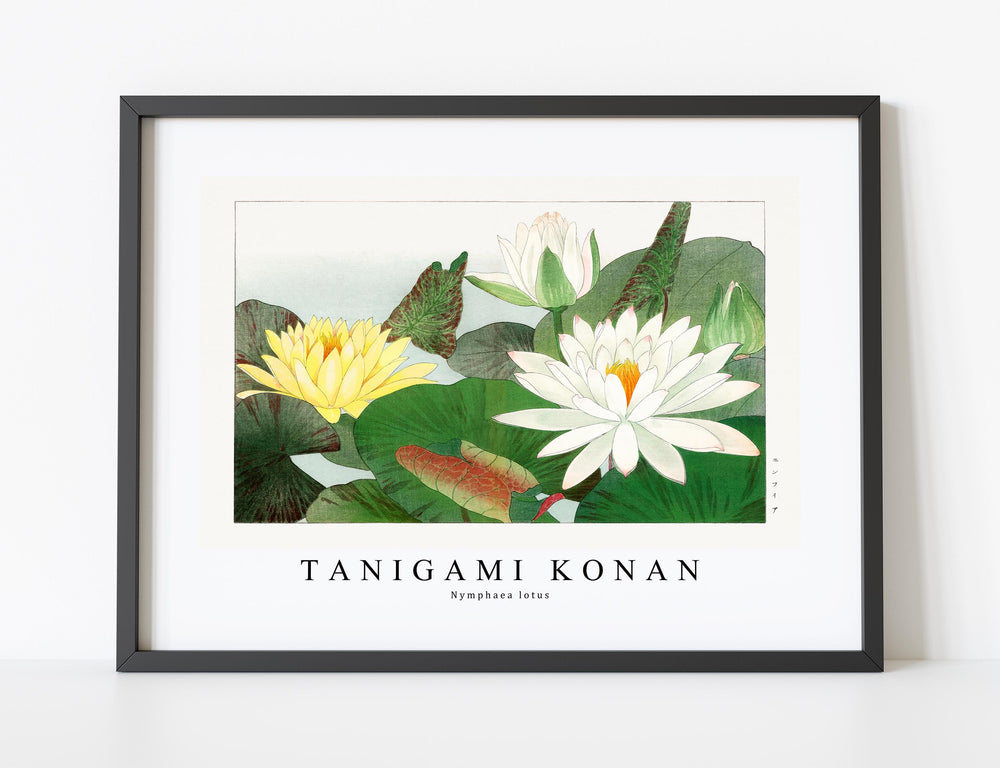 Tanigami Konan - Nymphaea lotus