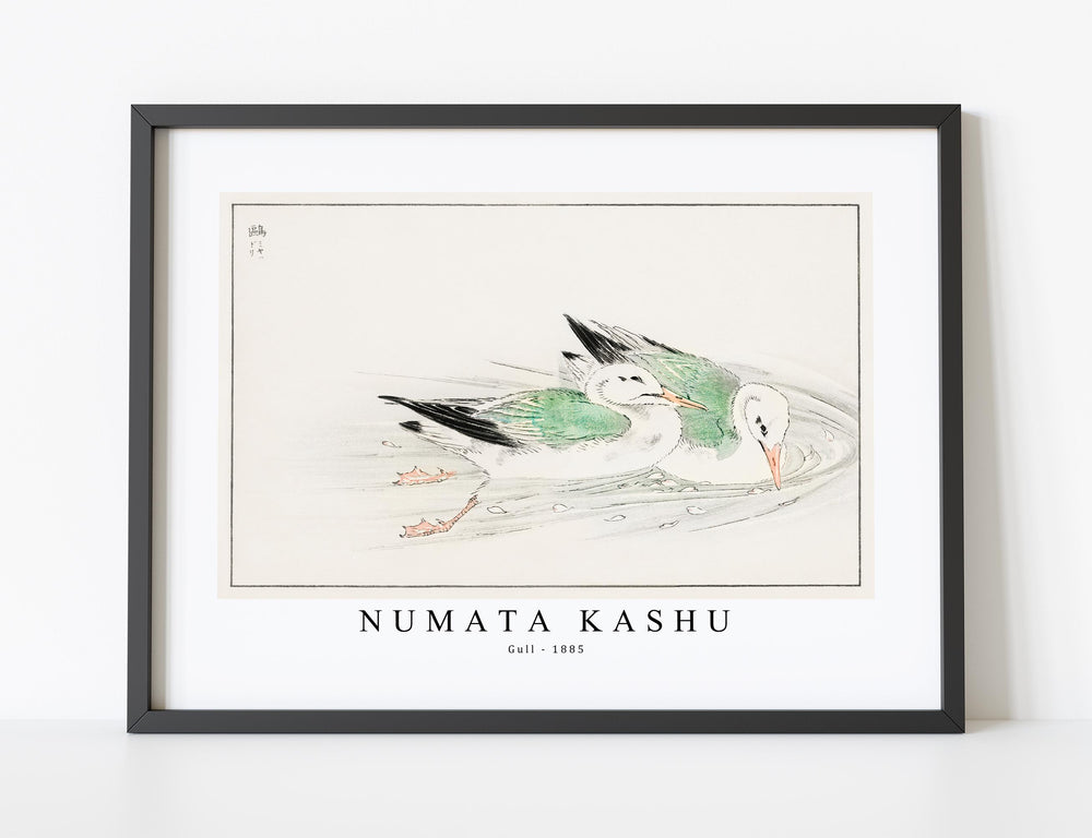 Numata Kashu - Gull illustration from Pictorial Monograph of Birds (1885)