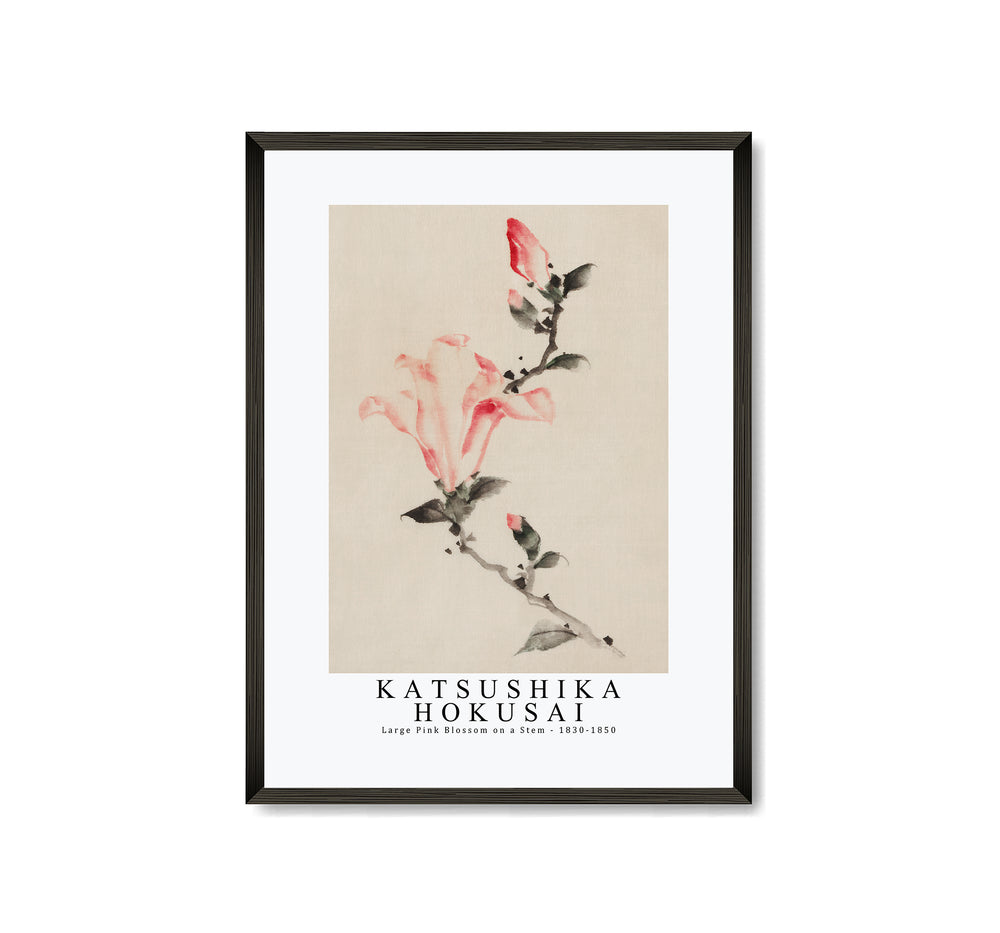 Katsushika Hokusai - Large Pink Blossom on a Stem with Three Additional Buds 1830-1850