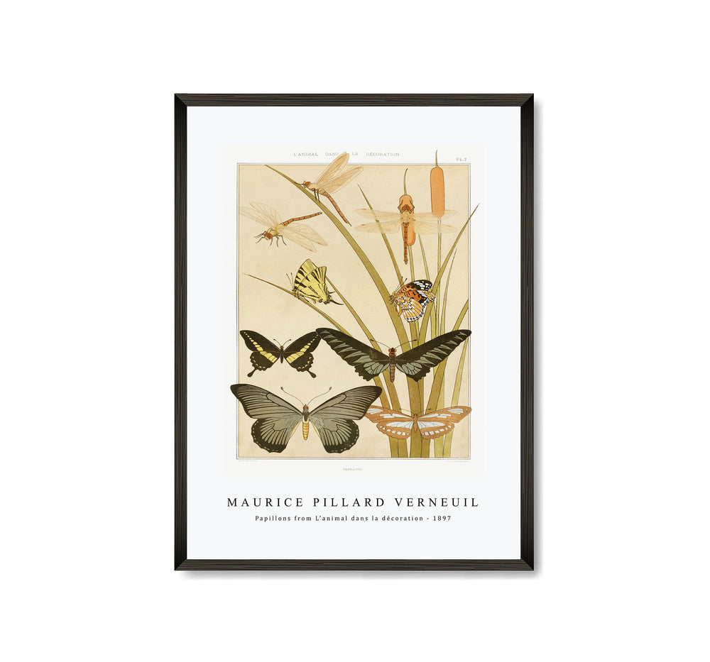Maurice Pillard Verneuil - Papillons from L'animal dans la décoration (1897)