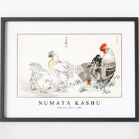 Numata Kashu - Domestic Fowl illustration from Pictorial Monograph of Birds (1885)